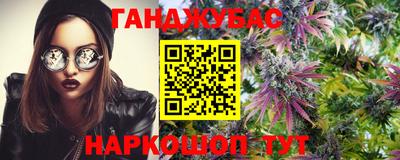 герыч Новокубанск