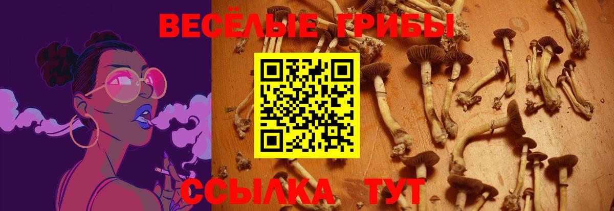 Тихорецк  Псилоцибиновые грибы MAGIC MUSHROOMS  Вход с VPN  Галлюциногенные грибы MAGIC MUSHROOMS 